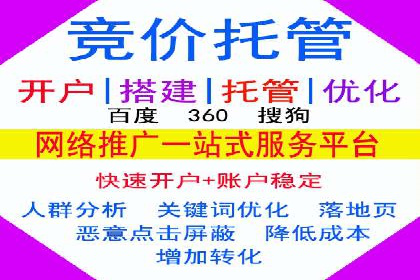 百度竞价与搜索引擎优化（SEO）结合的经典案例